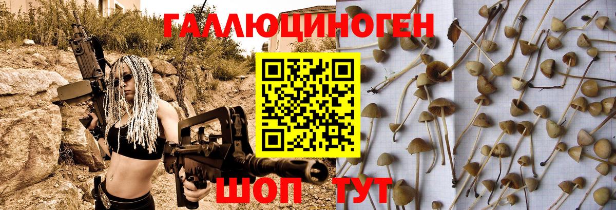 Псилоцибиновые грибы мухоморы Егорьевск