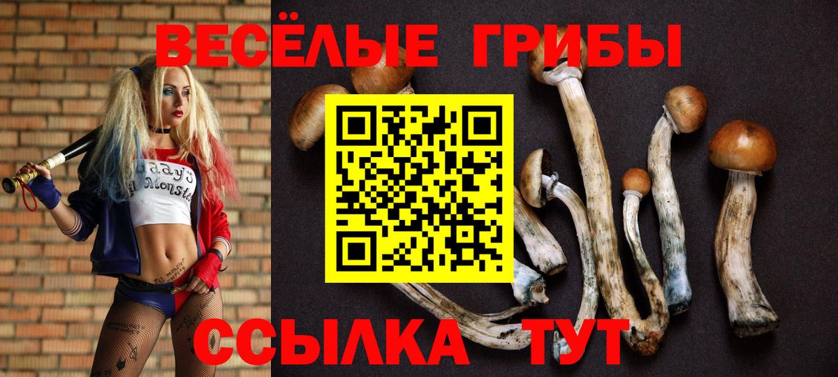 Галлюциногенные грибы прущие грибы  наркотики  Вход с VPN  Егорьевск  Псилоцибиновые грибы ЛСД 